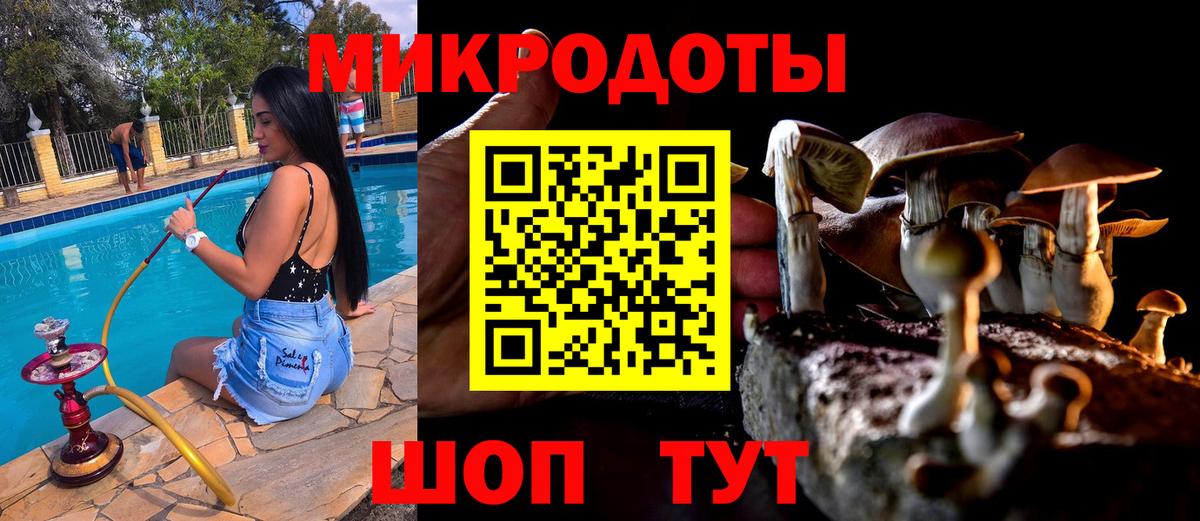Псилоцибиновые грибы Magic Shrooms Полевской