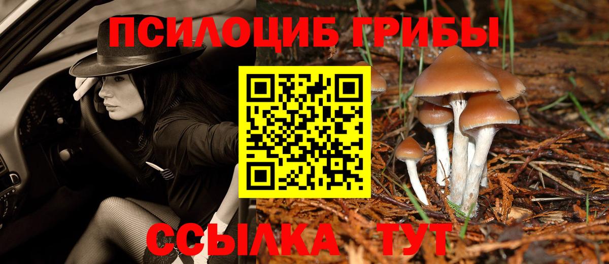 Галлюциногенные грибы Psilocybe  Вход с VPN  Полевской 
